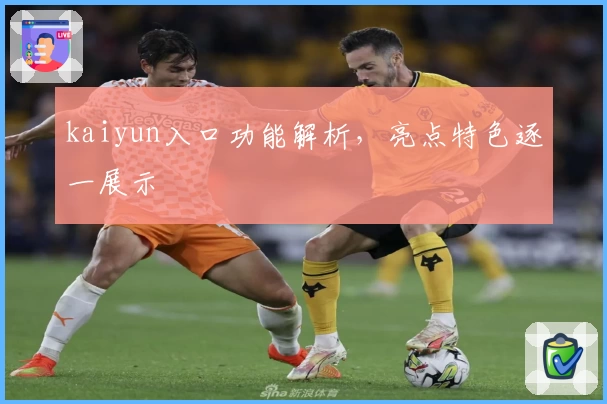 kaiyun入口功能解析，亮点特色逐一展示