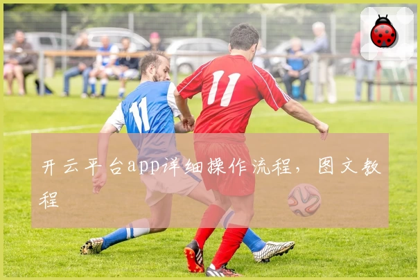 开云平台app详细操作流程，图文教程