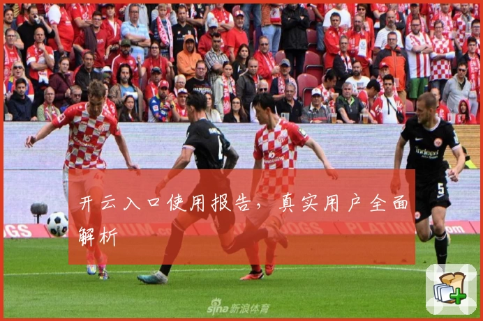 开云入口使用报告，真实用户全面解析