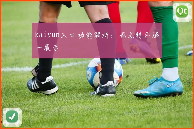 kaiyun入口功能解析，亮点特色逐一展示