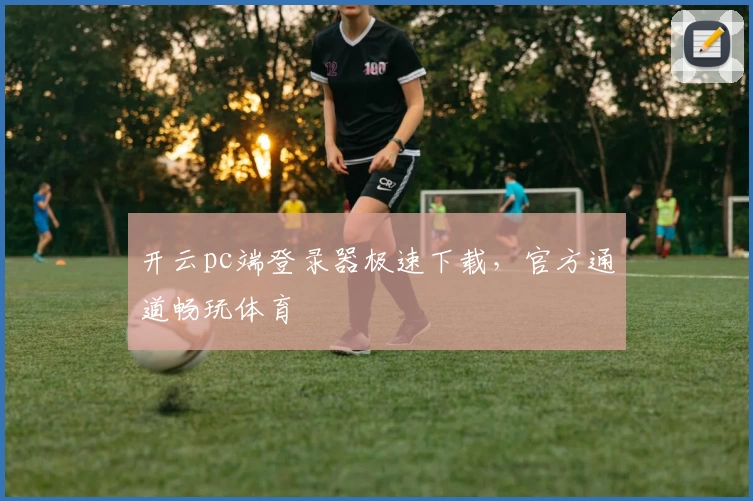 开云pc端登录器极速下载，官方通道畅玩体育