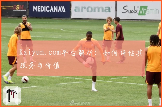 Kaiyun.com平台解析:如何评估其服务与价值