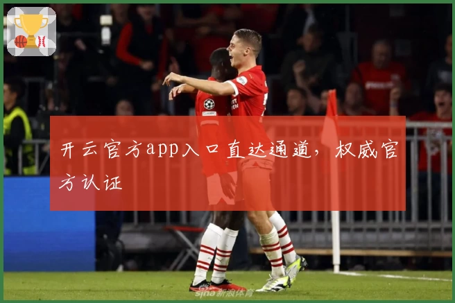 开云官方app入口直达通道，权威官方认证